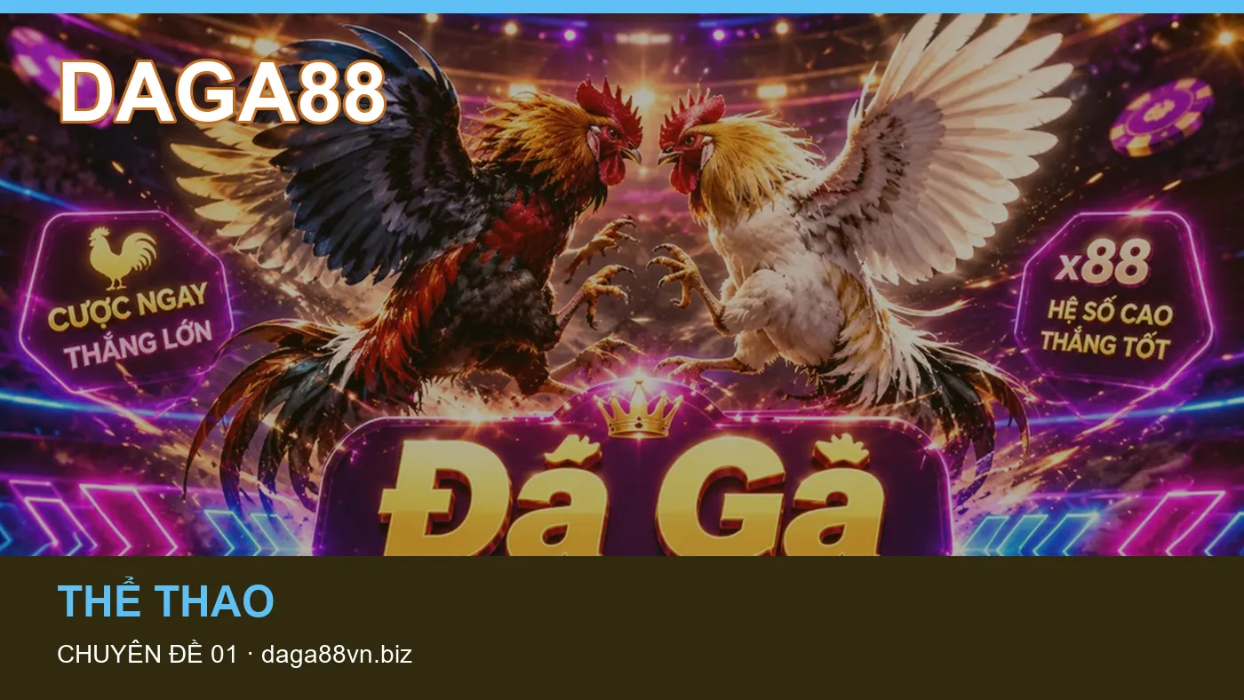 Dữ liệu trận đấu: những thuật ngữ cần hiểu khi tra cứu DAGA88
