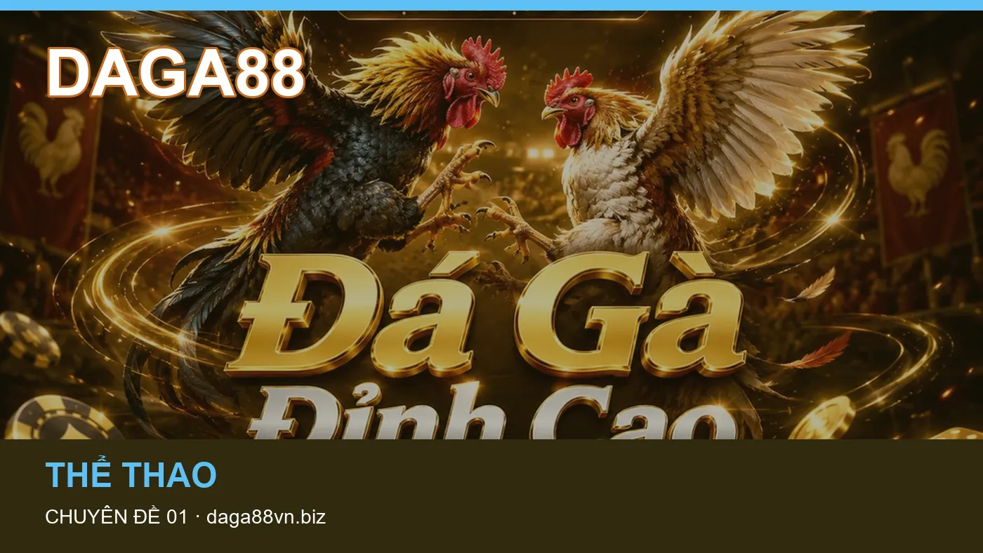 Những nhầm lẫn thường gặp khi đọc nội dung Hỏi đáp trên DAGA88